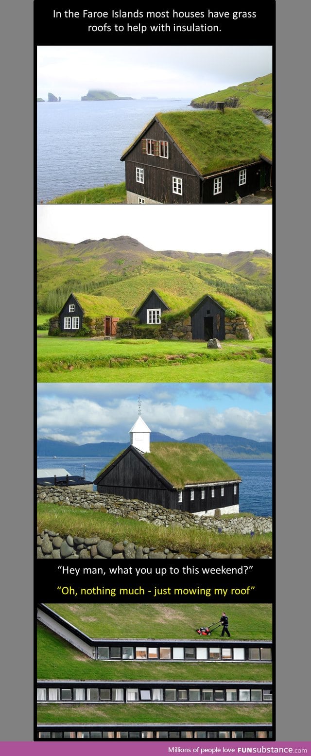 Grass roofs