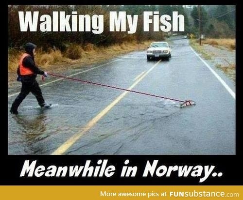 Meanwhile in Norway...