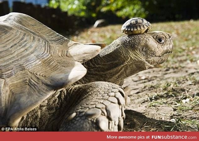 140 year old mom with her 5 day old son