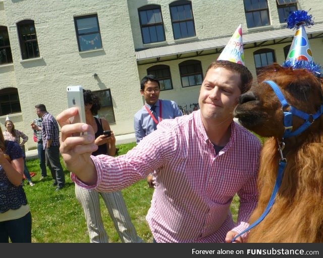 Just a guy taking a selfie with a llama in a party hat