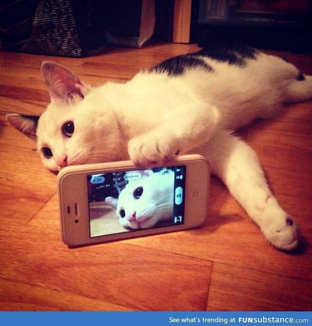 Snapcat