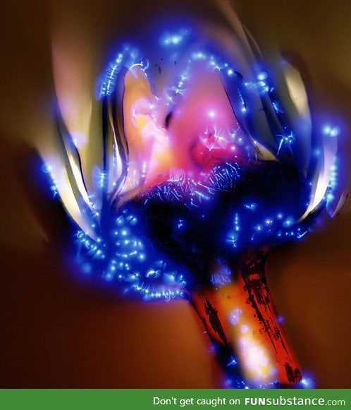 80,000 volts through a flower