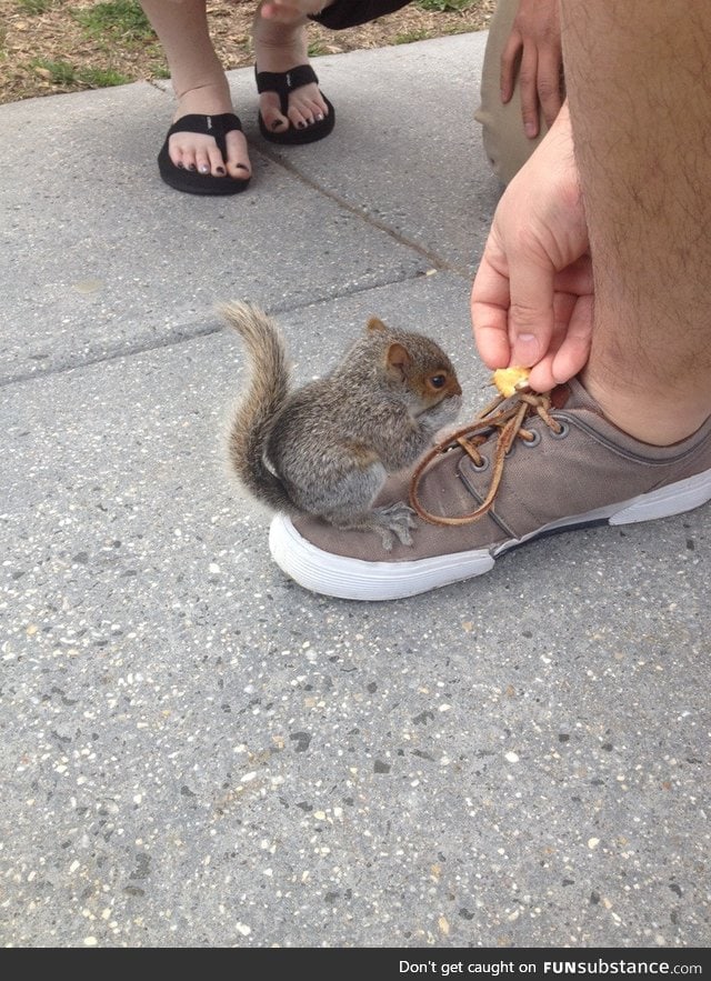 This little guy was sitting on my buddy's foot