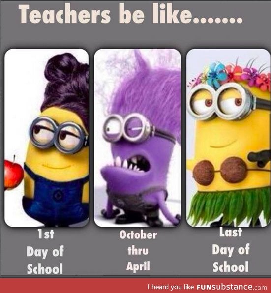 teachers