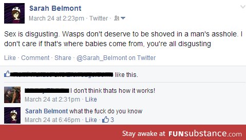 Wasps