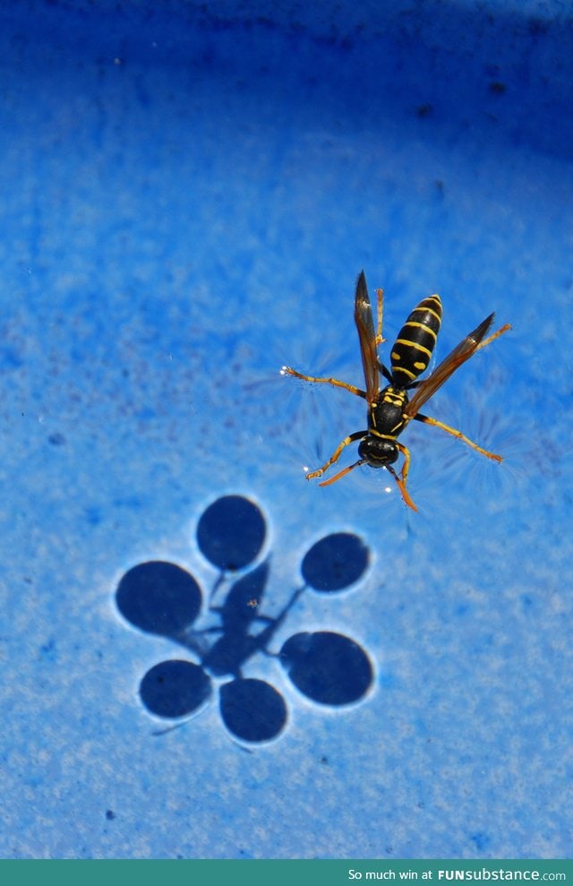 Surface tension