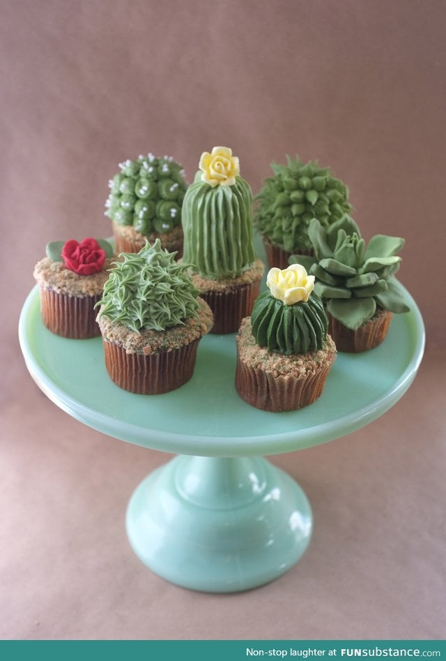 Those sure are some succulent cupcakes