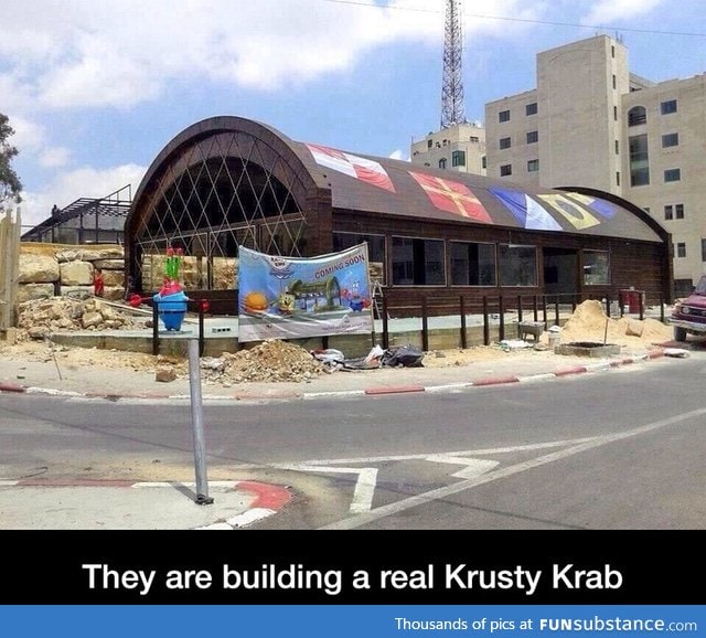 Real life krusty krab