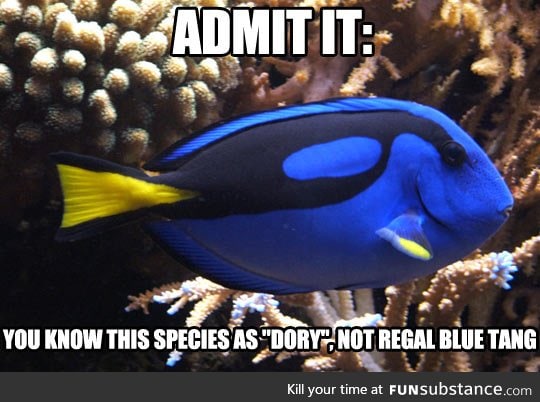 Just admit it