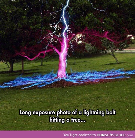 Lightning Hitting a Tree