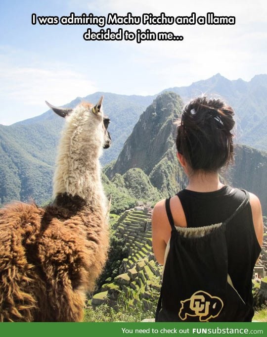 Admiring machu picchu