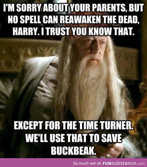 Dammit Dumbledore