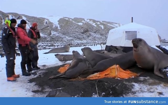 Your tent had a hole so we sealed it for you