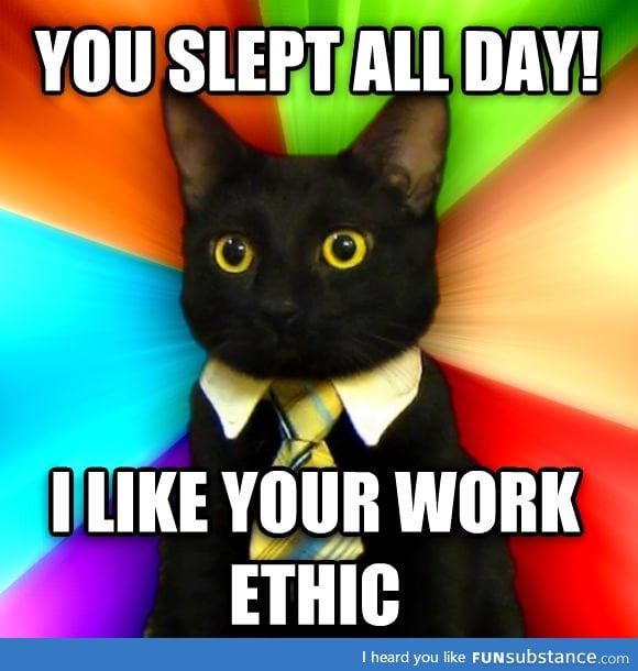 Business cat