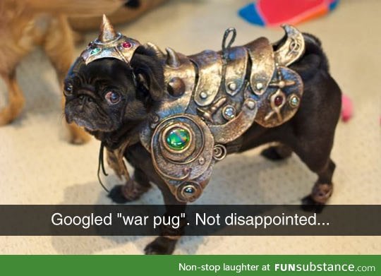 War pug