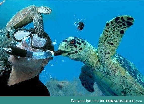 Trolling lvl. Turtle