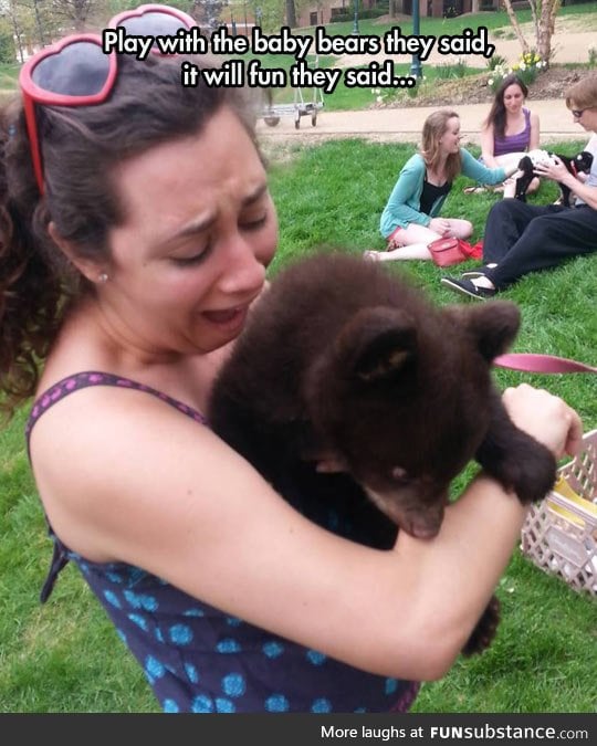 It's all fun and games until someone gets mauled by a tiny bear