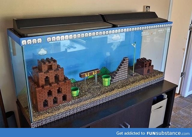 Best. Fish tank. Ever