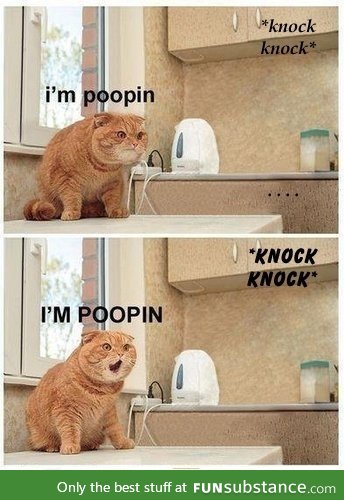 Knock knock