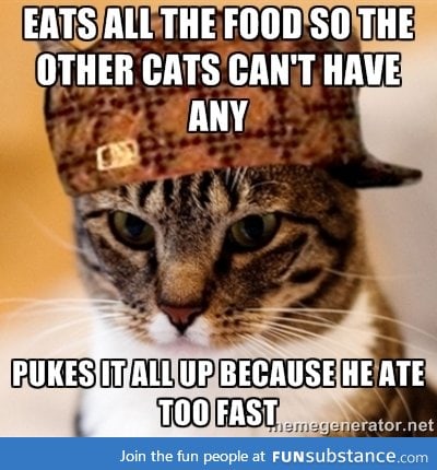 Scumbag kitty