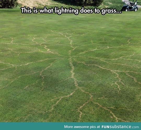 Grass after lightning