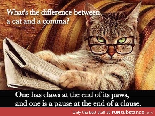 Differences between a cat and a comma