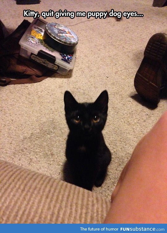 Little toothless