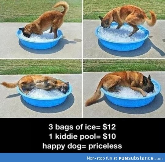 The low price of happiness