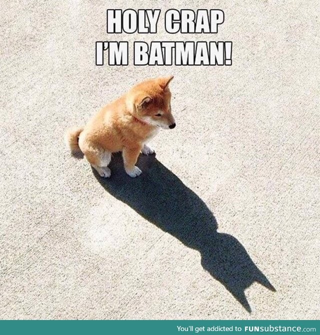 Corgi just realised he's Batman