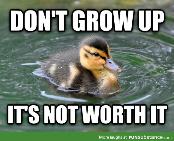 Almost advice mallard