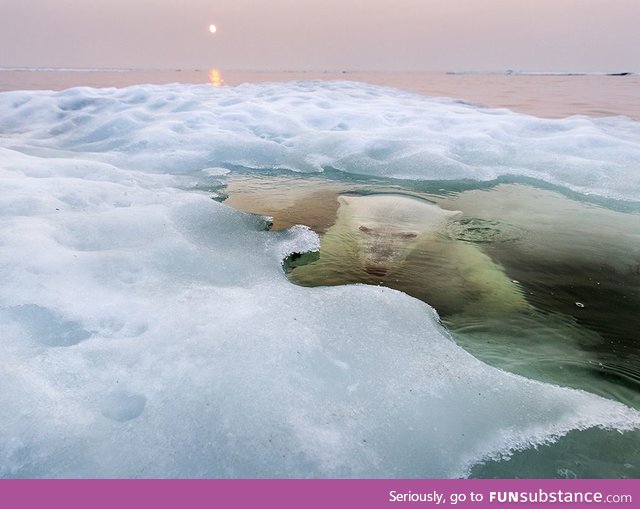 Under the Ice