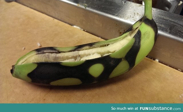 microwaved a bannana