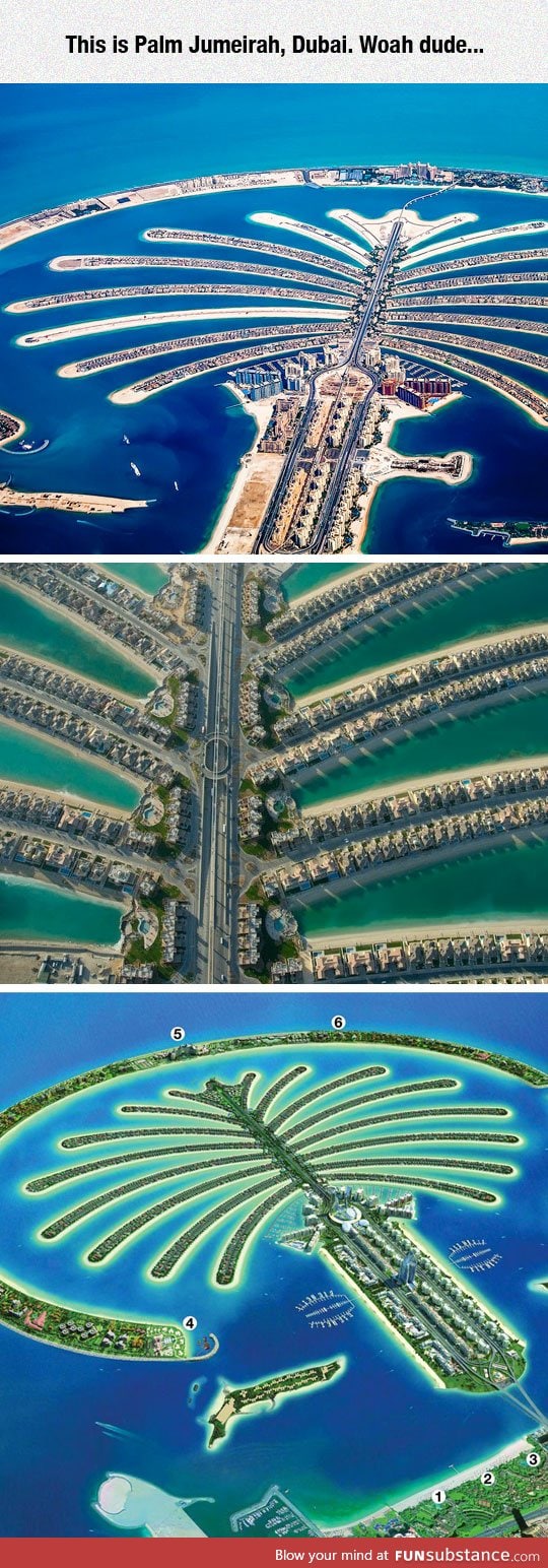 Palm jumeirah in dubai