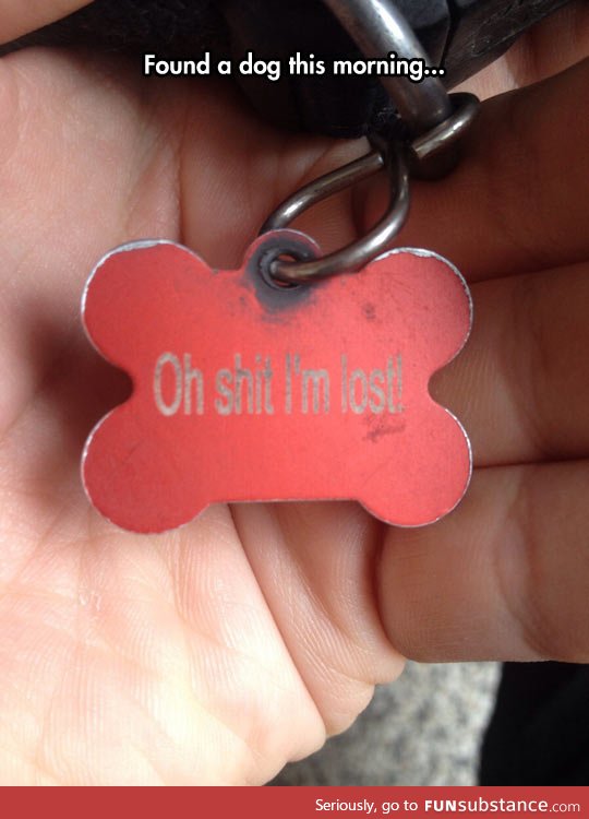 Perfect dog tag