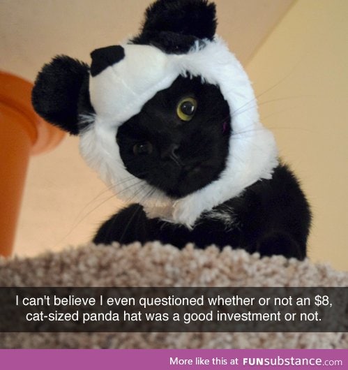 Panda hat