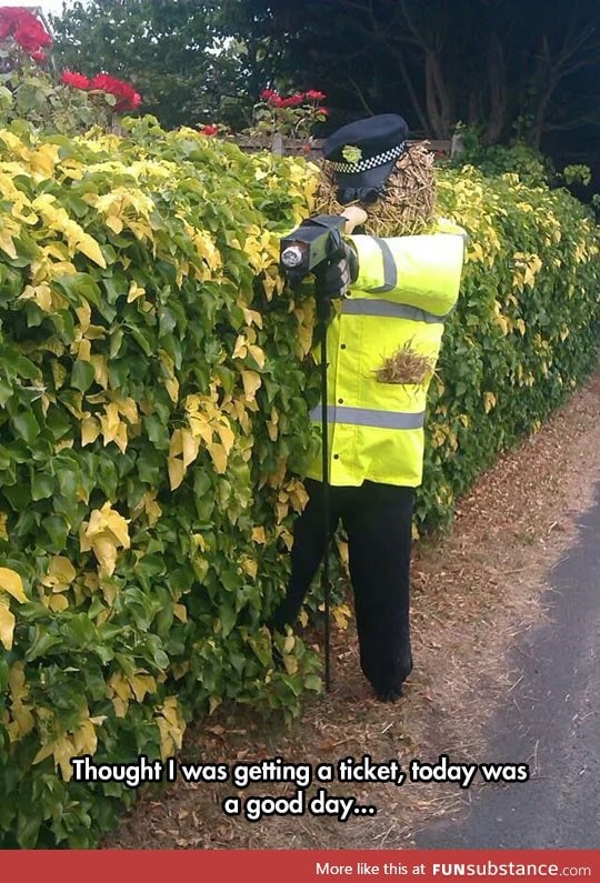 A bushy officer