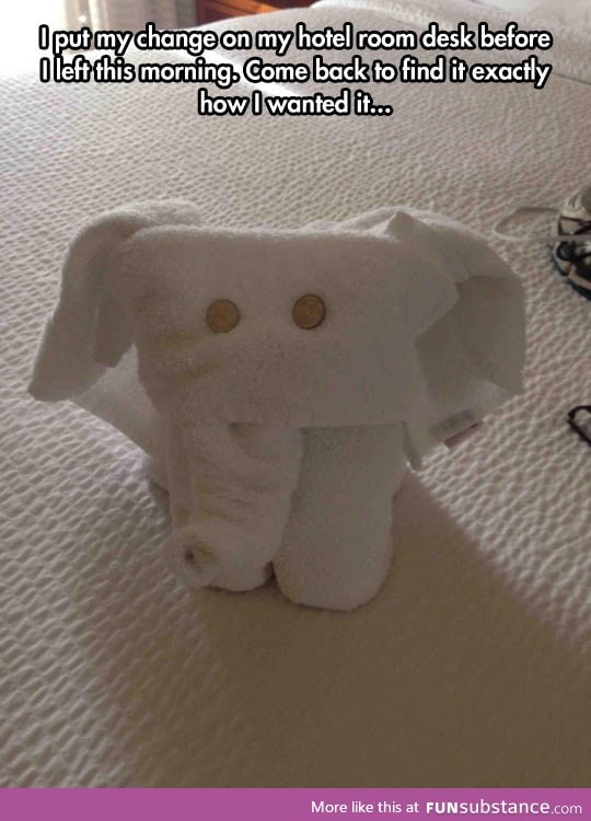 Elephant towel