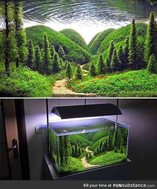 Wow, it's an aquarium