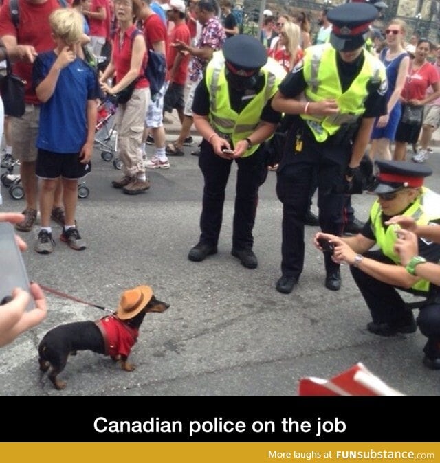 Job of a Canadian police