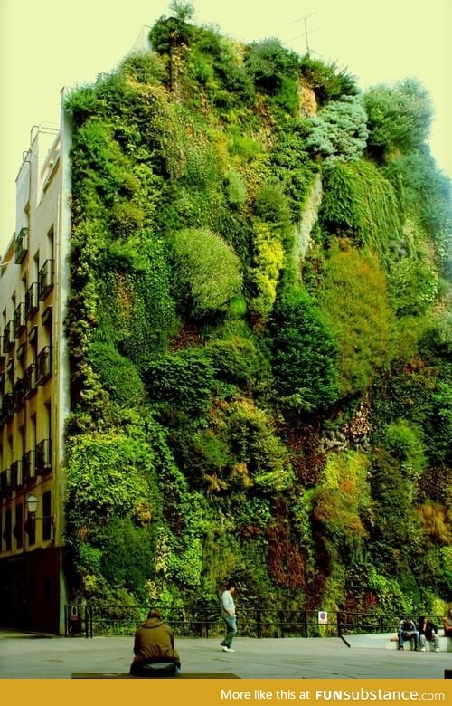 Vertical garden in Madrid, Spain