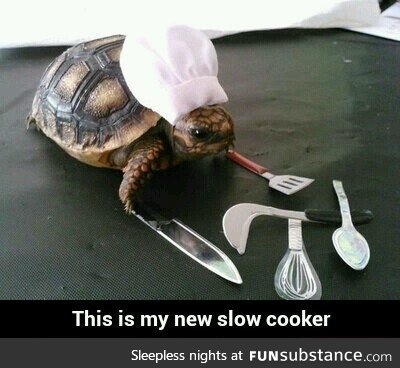 Slow cooker