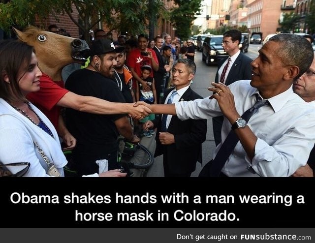 President of horses