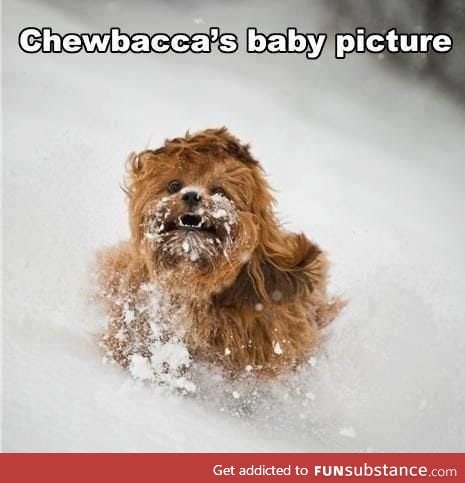 Chewbacca's So Cute!