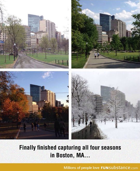 All four seasons