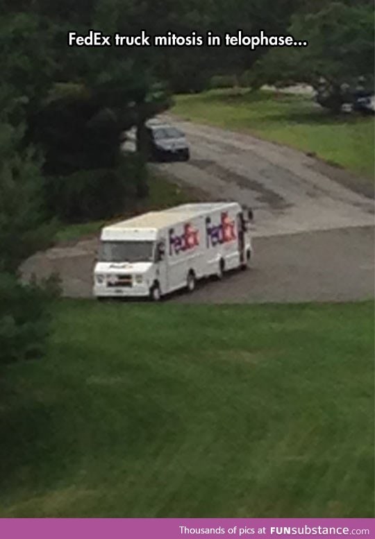 How fedex trucks are made