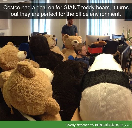 Giant teddy bears