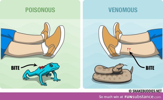 Clarification: Poisonous vs Venomous