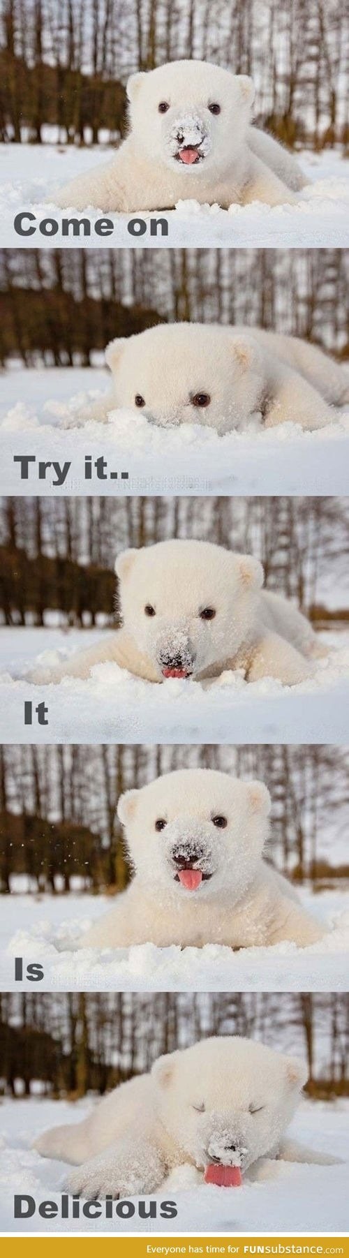 Nom nom snow