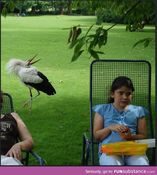 I can't figure out if I like the girl or the bird more.