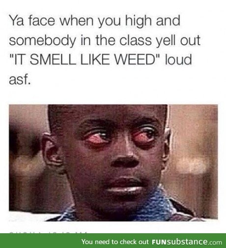 That smelly smell of smells